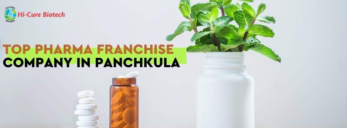 - TOP PHARMA FRANCHISE COMPANY IN PANCHKULA