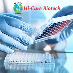 - Third Party Manufacturing Pharma Companies