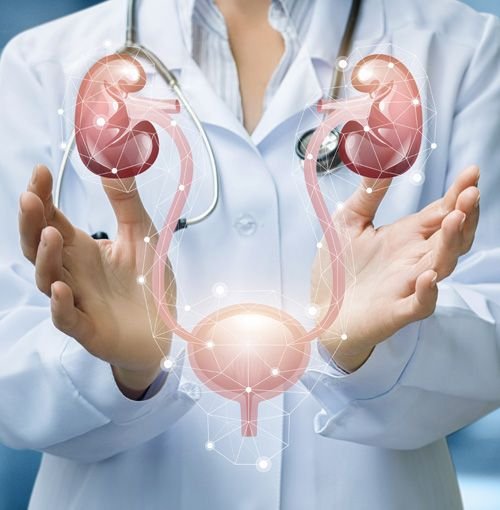 - Urology Range PCD Pharma Franchise
